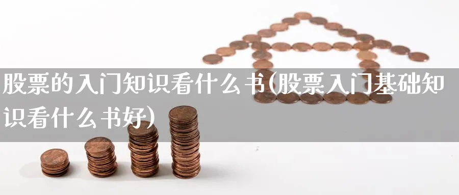 股票的入门知识看什么书(股票入门基础知识看什么书好)_https://www.ccsxhkc.com_贸易顺差_第1张