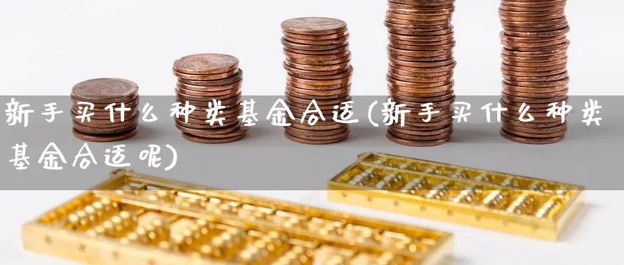 新手买什么种类基金合适(新手买什么种类基金合适呢)_https://www.ccsxhkc.com_金融监管_第1张