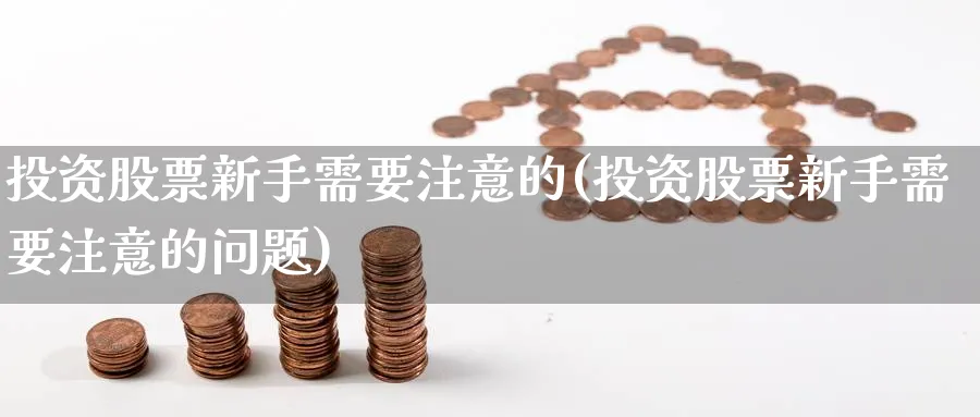 投资股票新手需要注意的(投资股票新手需要注意的问题)_https://www.ccsxhkc.com_金融监管_第1张