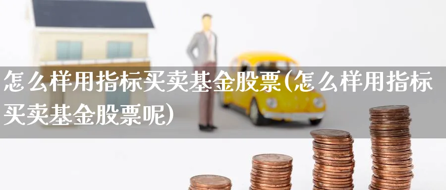 怎么样用指标买卖基金股票(怎么样用指标买卖基金股票呢)_https://www.ccsxhkc.com_贸易顺差_第1张