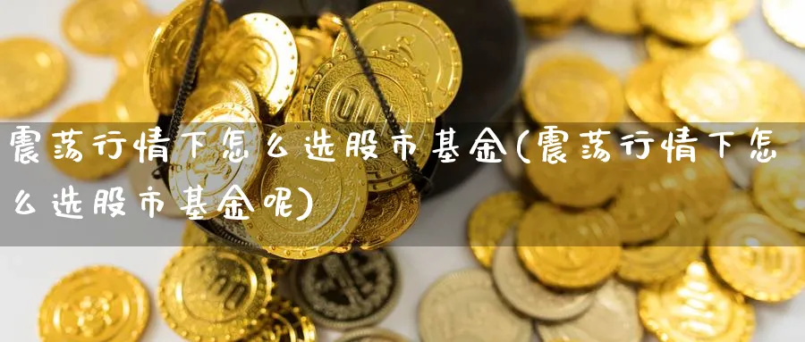 震荡行情下怎么选股市基金(震荡行情下怎么选股市基金呢)_https://www.ccsxhkc.com_金融监管_第1张