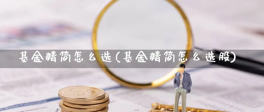 基金精简怎么选(基金精简怎么选股)_https://www.ccsxhkc.com_贸易顺差_第1张