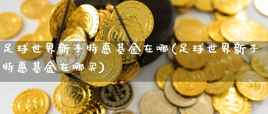 足球世界新手特惠基金在哪(足球世界新手特惠基金在哪买)_https://www.ccsxhkc.com_科技投资_第1张