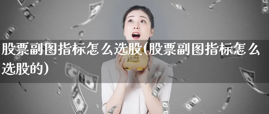 股票副图指标怎么选股(股票副图指标怎么选股的)_https://www.ccsxhkc.com_商业模式_第1张