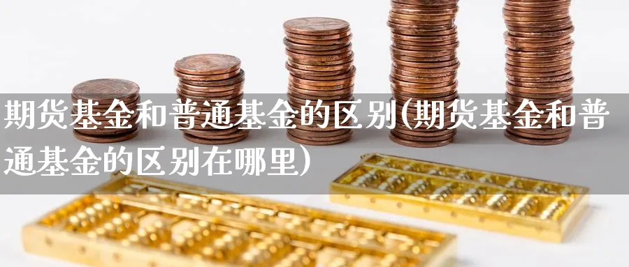 期货基金和普通基金的区别(期货基金和普通基金的区别在哪里)_https://www.ccsxhkc.com_贸易逆差_第1张