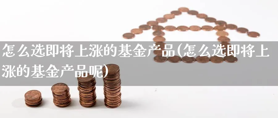 怎么选即将上涨的基金产品(怎么选即将上涨的基金产品呢)_https://www.ccsxhkc.com_金融监管_第1张