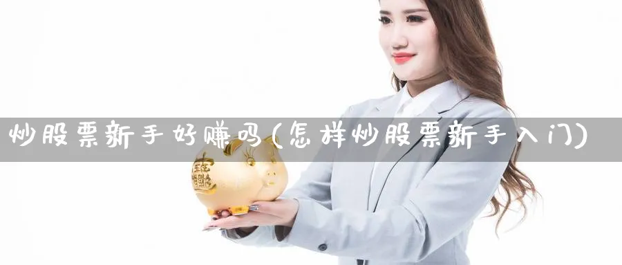 炒股票新手好赚吗(怎样炒股票新手入门)_https://www.ccsxhkc.com_商业模式_第1张