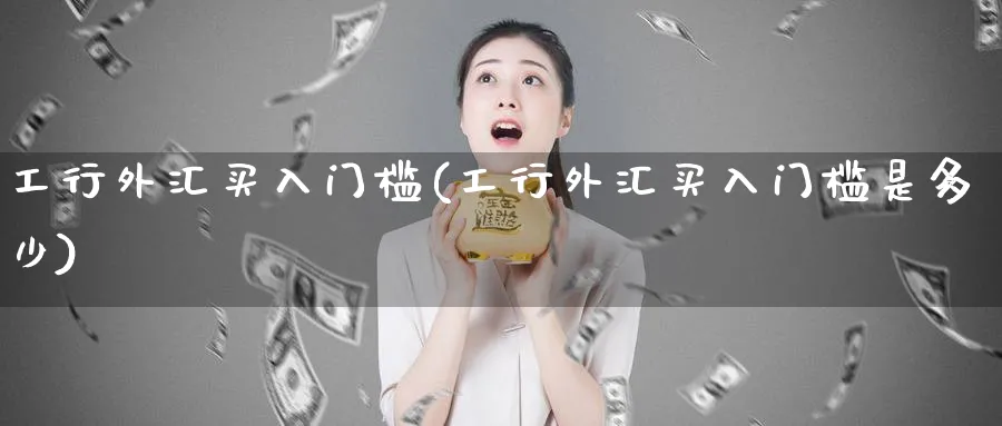 工行外汇买入门槛(工行外汇买入门槛是多少)_https://www.ccsxhkc.com_贸易逆差_第1张