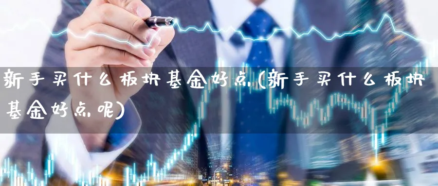 新手买什么板块基金好点(新手买什么板块基金好点呢)_https://www.ccsxhkc.com_贸易顺差_第1张