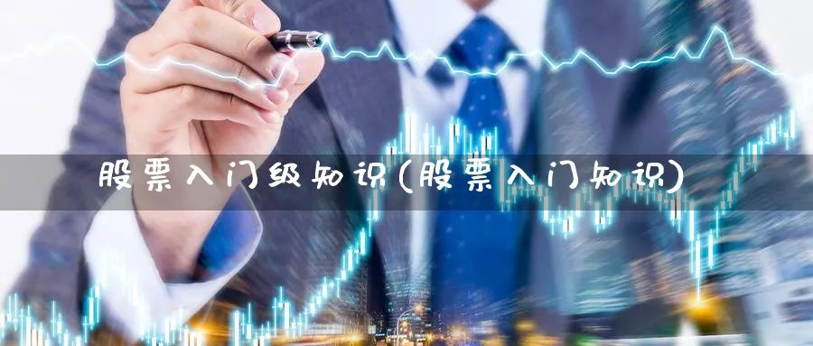 股票入门级知识(股票入门知识)_https://www.ccsxhkc.com_贸易顺差_第1张