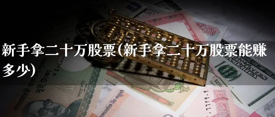 新手拿二十万股票(新手拿二十万股票能赚多少)_https://www.ccsxhkc.com_金融监管_第1张