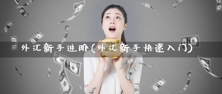 外汇新手进阶(外汇新手快速入门)_https://www.ccsxhkc.com_基金投资_第1张