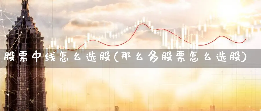 股票中线怎么选股(那么多股票怎么选股)_https://www.ccsxhkc.com_金融监管_第1张