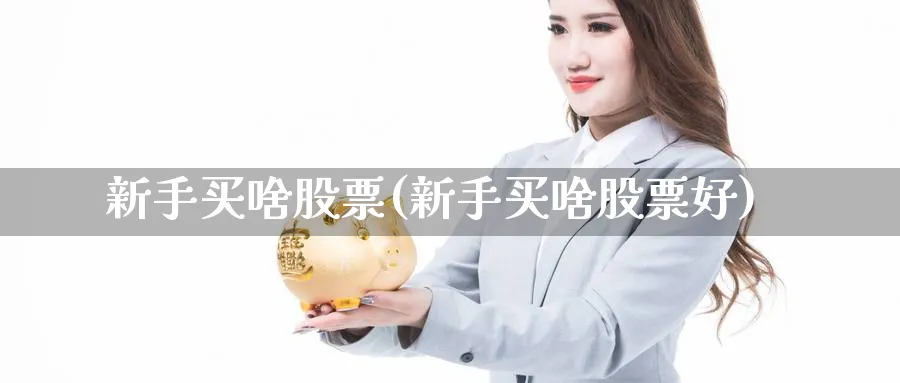 新手买啥股票(新手买啥股票好)_https://www.ccsxhkc.com_商业模式_第1张