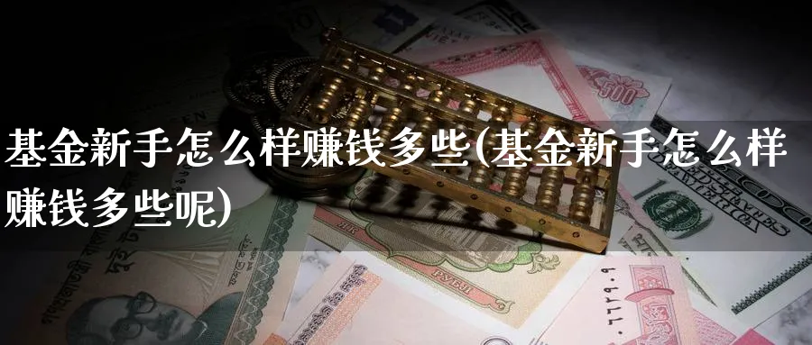 基金新手怎么样赚钱多些(基金新手怎么样赚钱多些呢)_https://www.ccsxhkc.com_贸易顺差_第1张