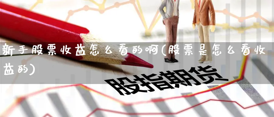 新手股票收益怎么看的啊(股票是怎么看收益的)_https://www.ccsxhkc.com_商业模式_第1张