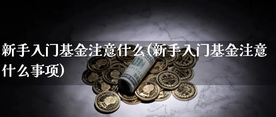 新手入门基金注意什么(新手入门基金注意什么事项)_https://www.ccsxhkc.com_基金投资_第1张