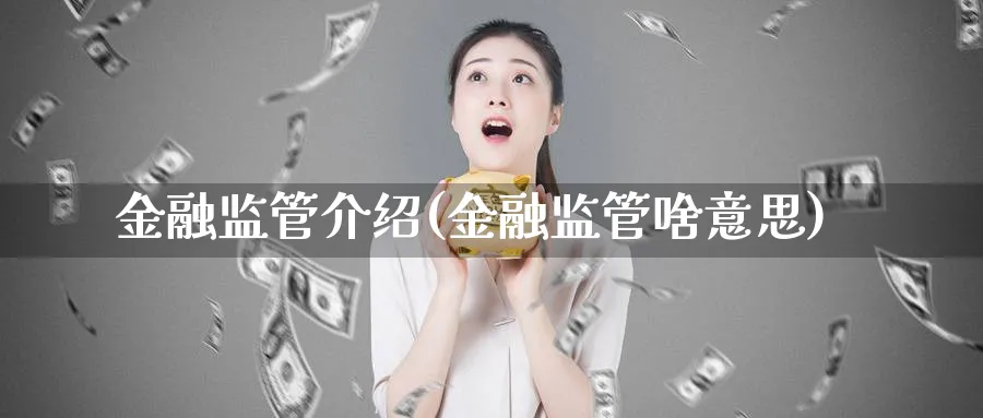 金融监管介绍(金融监管啥意思)_https://www.ccsxhkc.com_金融监管_第1张