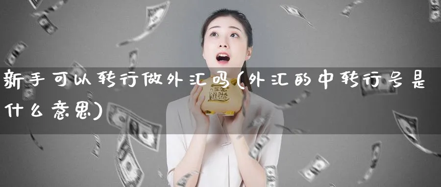 新手可以转行做外汇吗(外汇的中转行号是什么意思)_https://www.ccsxhkc.com_金融监管_第1张