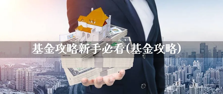 基金攻略新手必看(基金攻略)_https://www.ccsxhkc.com_贸易顺差_第1张