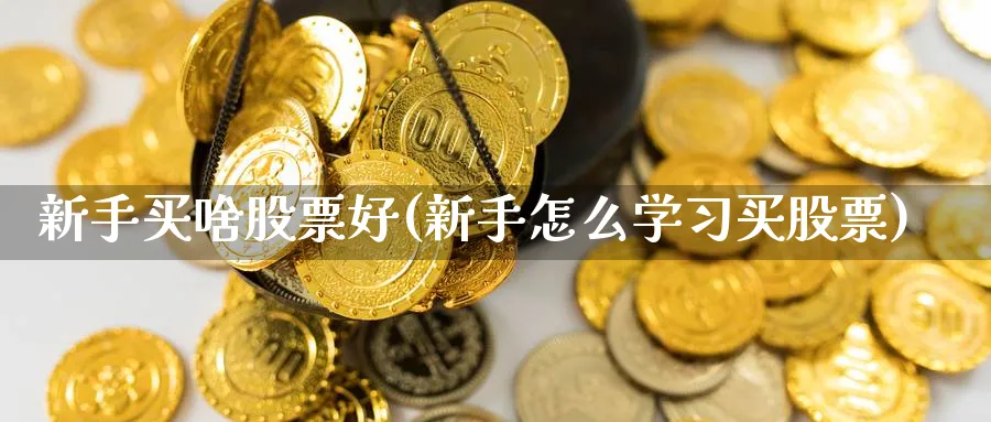 新手买啥股票好(新手怎么学习买股票)_https://www.ccsxhkc.com_商业模式_第1张