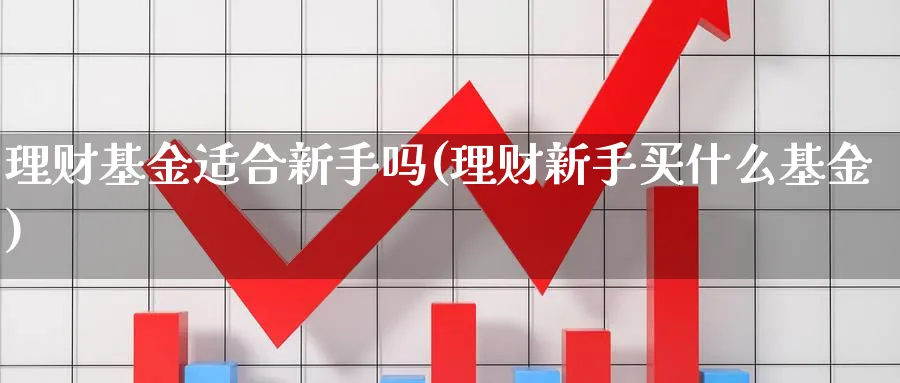 理财基金适合新手吗(理财新手买什么基金)_https://www.ccsxhkc.com_商业模式_第1张