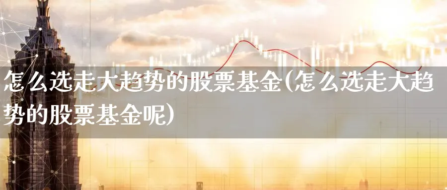 怎么选走大趋势的股票基金(怎么选走大趋势的股票基金呢)_https://www.ccsxhkc.com_商业模式_第1张