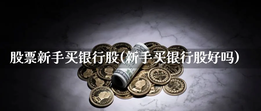 股票新手买银行股(新手买银行股好吗)_https://www.ccsxhkc.com_科技投资_第1张