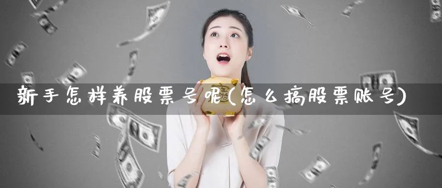 新手怎样养股票号呢(怎么搞股票账号)_https://www.ccsxhkc.com_贸易顺差_第1张