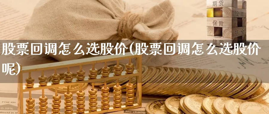 股票回调怎么选股价(股票回调怎么选股价呢)_https://www.ccsxhkc.com_贸易顺差_第1张