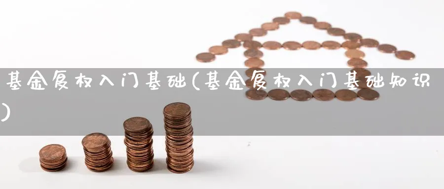 基金复权入门基础(基金复权入门基础知识)_https://www.ccsxhkc.com_贸易顺差_第1张