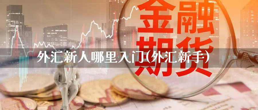 外汇新人哪里入门(外汇新手)_https://www.ccsxhkc.com_商业模式_第1张