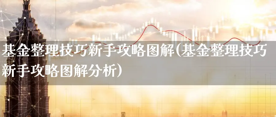 基金整理技巧新手攻略图解(基金整理技巧新手攻略图解分析)_https://www.ccsxhkc.com_商业模式_第1张