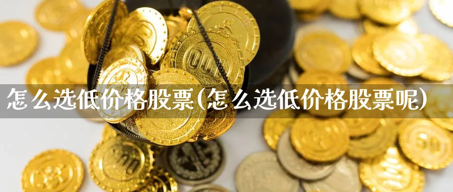 怎么选低价格股票(怎么选低价格股票呢)_https://www.ccsxhkc.com_金融监管_第1张