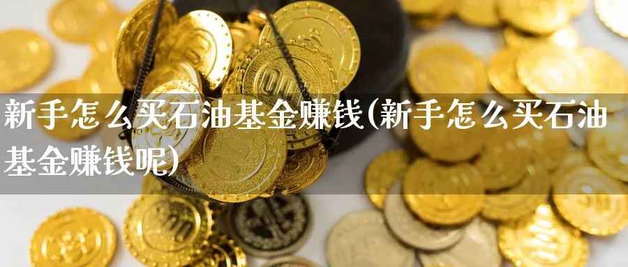 新手怎么买石油基金赚钱(新手怎么买石油基金赚钱呢)_https://www.ccsxhkc.com_商业模式_第1张