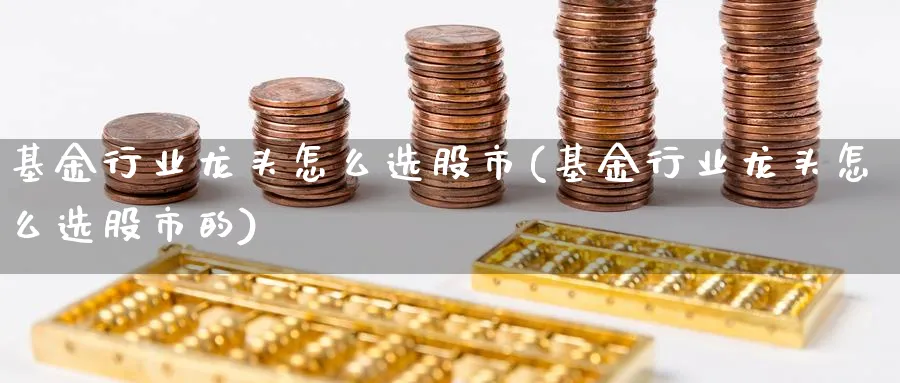 基金行业龙头怎么选股市(基金行业龙头怎么选股市的)_https://www.ccsxhkc.com_贸易顺差_第1张