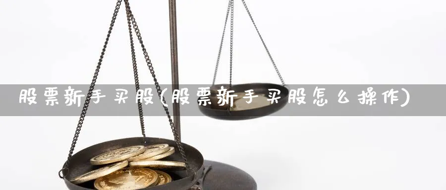 股票新手买股(股票新手买股怎么操作)_https://www.ccsxhkc.com_基金投资_第1张