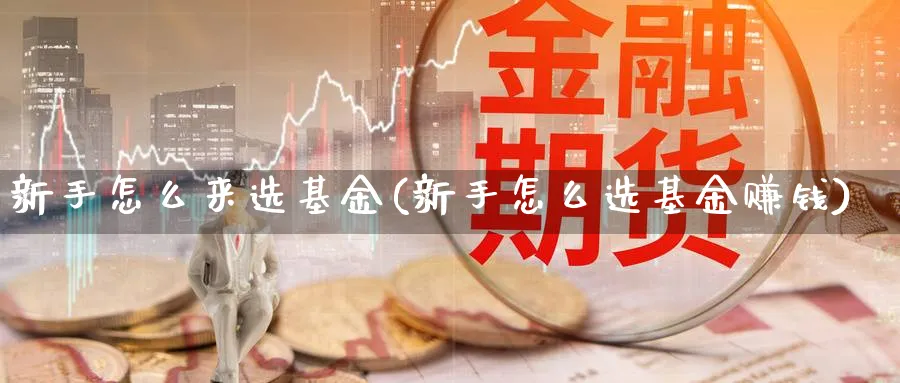 新手怎么来选基金(新手怎么选基金赚钱)_https://www.ccsxhkc.com_金融监管_第1张