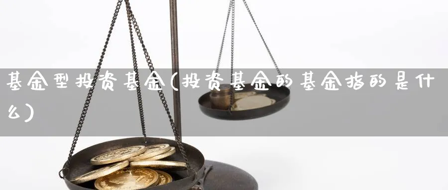 基金型投资基金(投资基金的基金指的是什么)_https://www.ccsxhkc.com_财经资讯_第1张