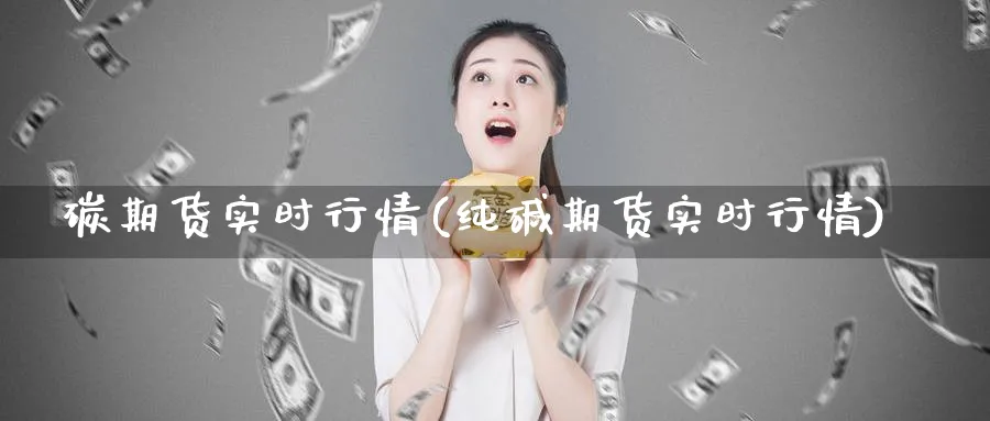 碳期货实时行情(纯碱期货实时行情)_https://www.ccsxhkc.com_科技投资_第1张