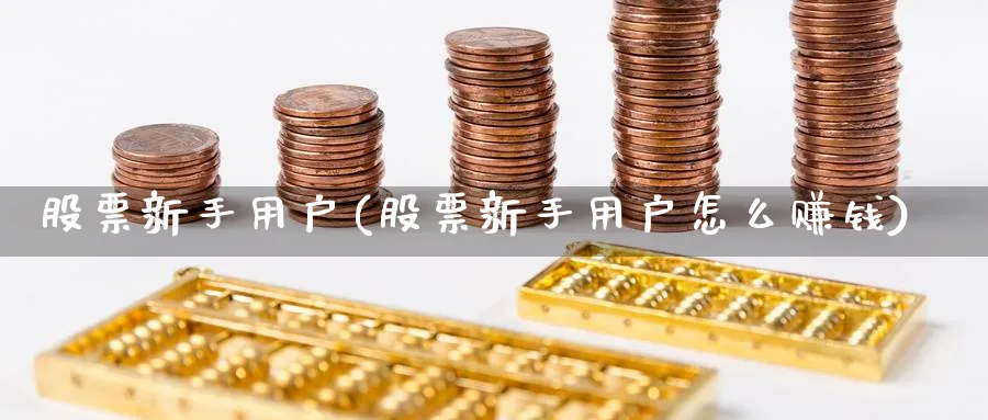 股票新手用户(股票新手用户怎么赚钱)_https://www.ccsxhkc.com_金融监管_第1张