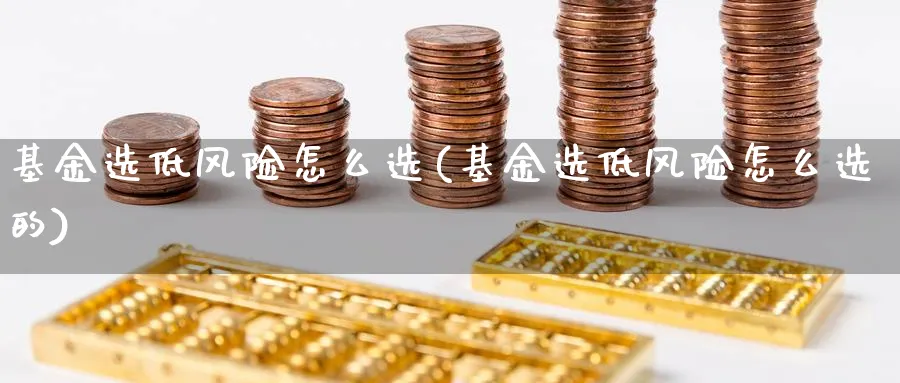 基金选低风险怎么选(基金选低风险怎么选的)_https://www.ccsxhkc.com_金融监管_第1张