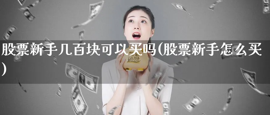 股票新手几百块可以买吗(股票新手怎么买)_https://www.ccsxhkc.com_科技投资_第1张