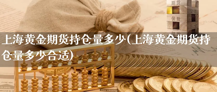 上海黄金期货持仓量多少(上海黄金期货持仓量多少合适)_https://www.ccsxhkc.com_金融监管_第1张