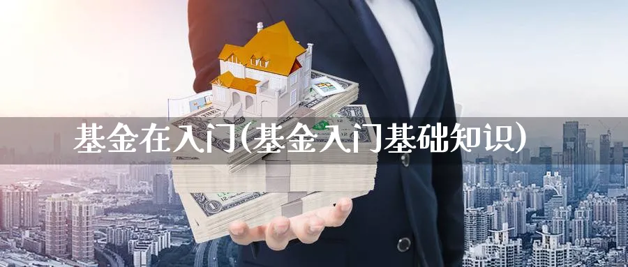 基金在入门(基金入门基础知识)_https://www.ccsxhkc.com_商业模式_第1张