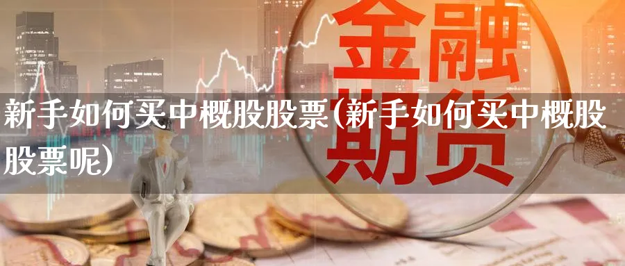 新手如何买中概股股票(新手如何买中概股股票呢)_https://www.ccsxhkc.com_贸易顺差_第1张