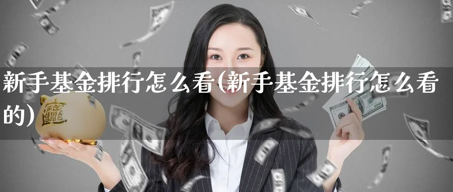 新手基金排行怎么看(新手基金排行怎么看的)_https://www.ccsxhkc.com_商业模式_第1张