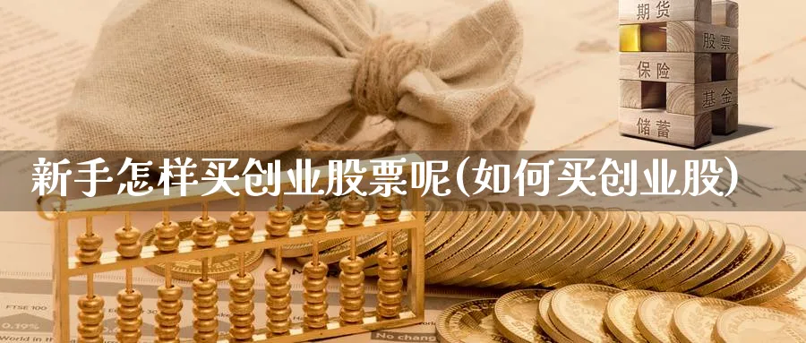 新手怎样买创业股票呢(如何买创业股)_https://www.ccsxhkc.com_科技投资_第1张