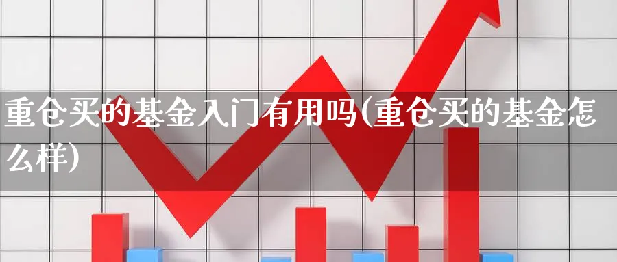 重仓买的基金入门有用吗(重仓买的基金怎么样)_https://www.ccsxhkc.com_贸易顺差_第1张