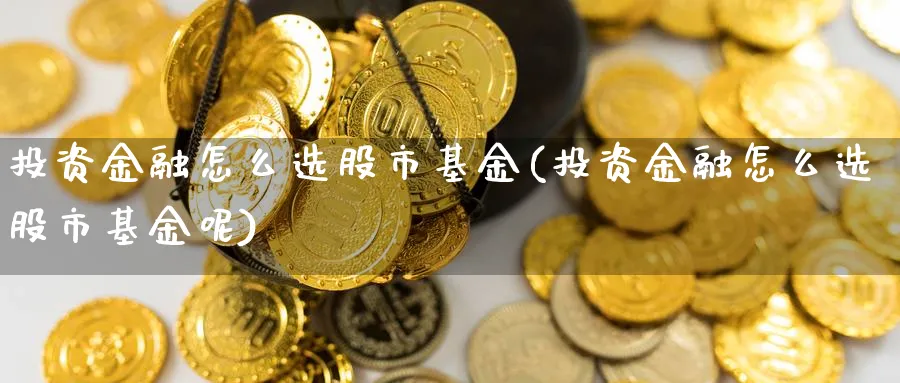 投资金融怎么选股市基金(投资金融怎么选股市基金呢)_https://www.ccsxhkc.com_基金投资_第1张